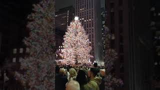 Tree at Rockefeller Center, 2019