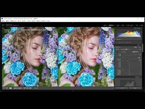 Canon相機與Lightroom人像優化描述檔