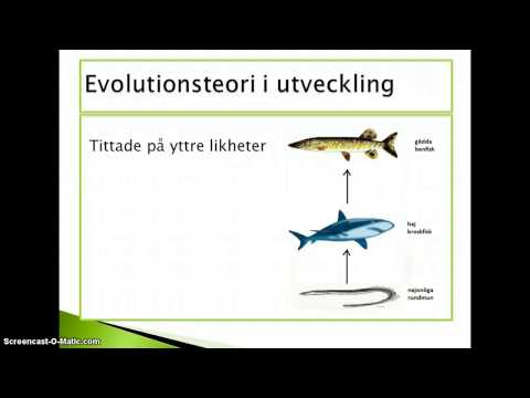 Evolutionsteori i utveckling