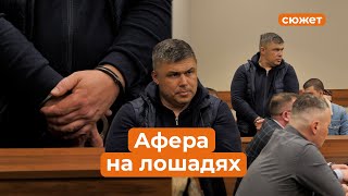 За что арестовали директора Казанского ипподрома?