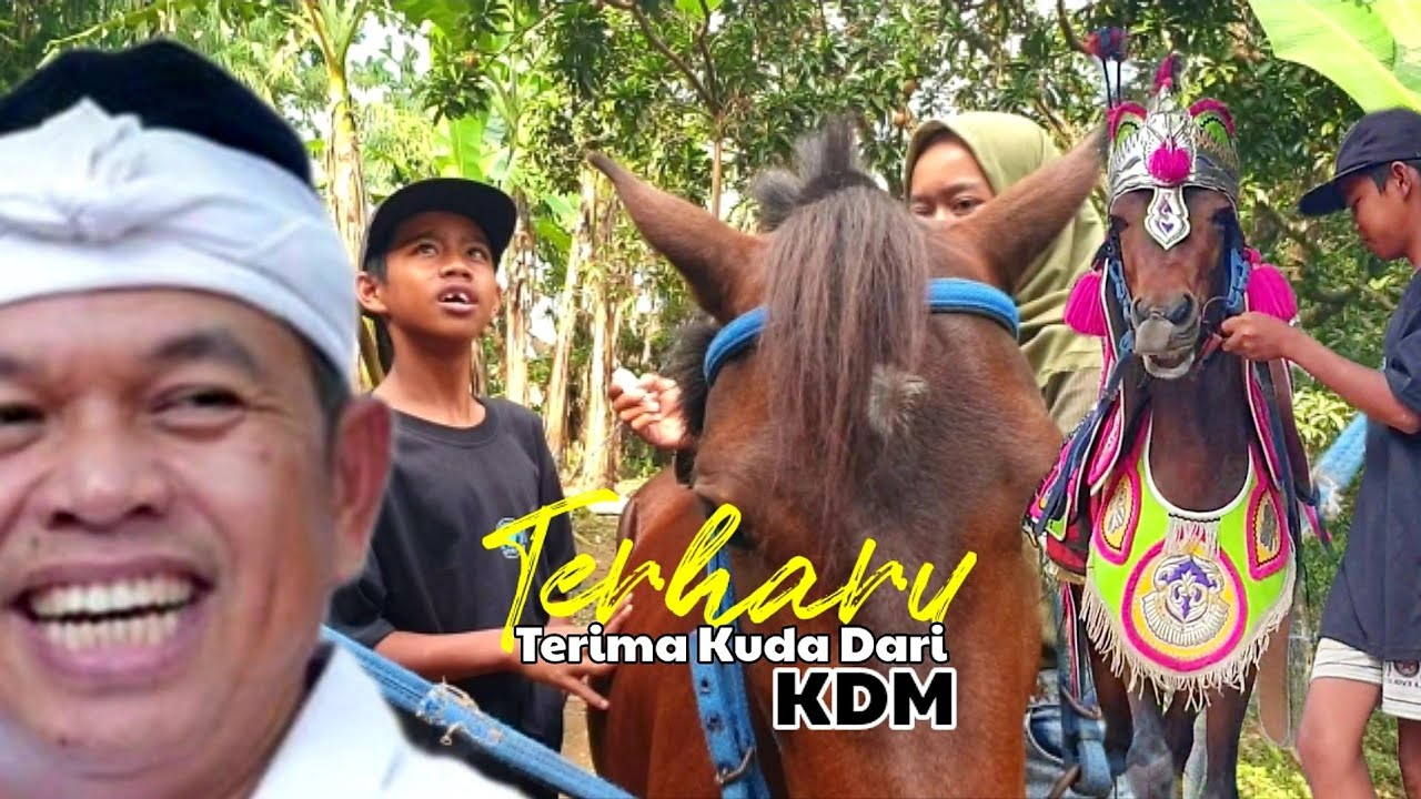 Terharu Terima Kuda Dari KDM