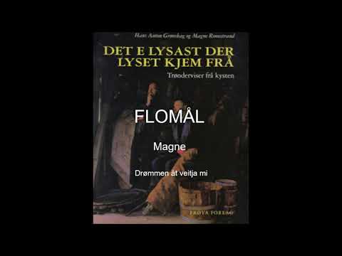 FLOMÅL  Drømmen