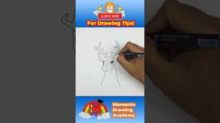 How Tod Draw Deer Face Step By Step Beginner Guide #drawing #simpledrawing #animaldrawing #shorts