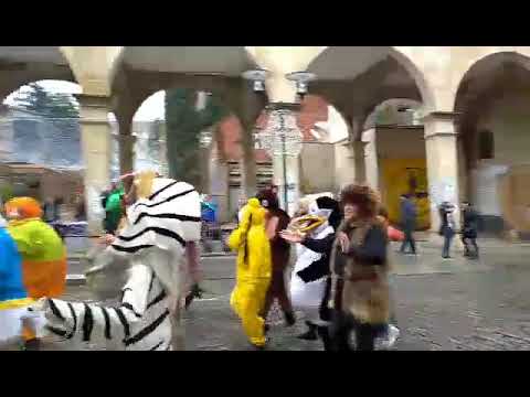 მსვლელობა