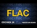 FLAC - Odc.29 [Reduktor Szumu]