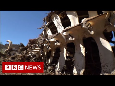 South African drought town's warning to the world - BBC News