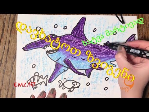 painting shark/painting shark easy/ვხატავთ ზვიგენს/მარტივად დავხატოთ ზვიგენი