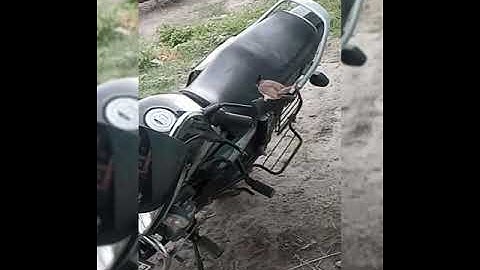 Bird fighting with its own image in the mirror😅😅