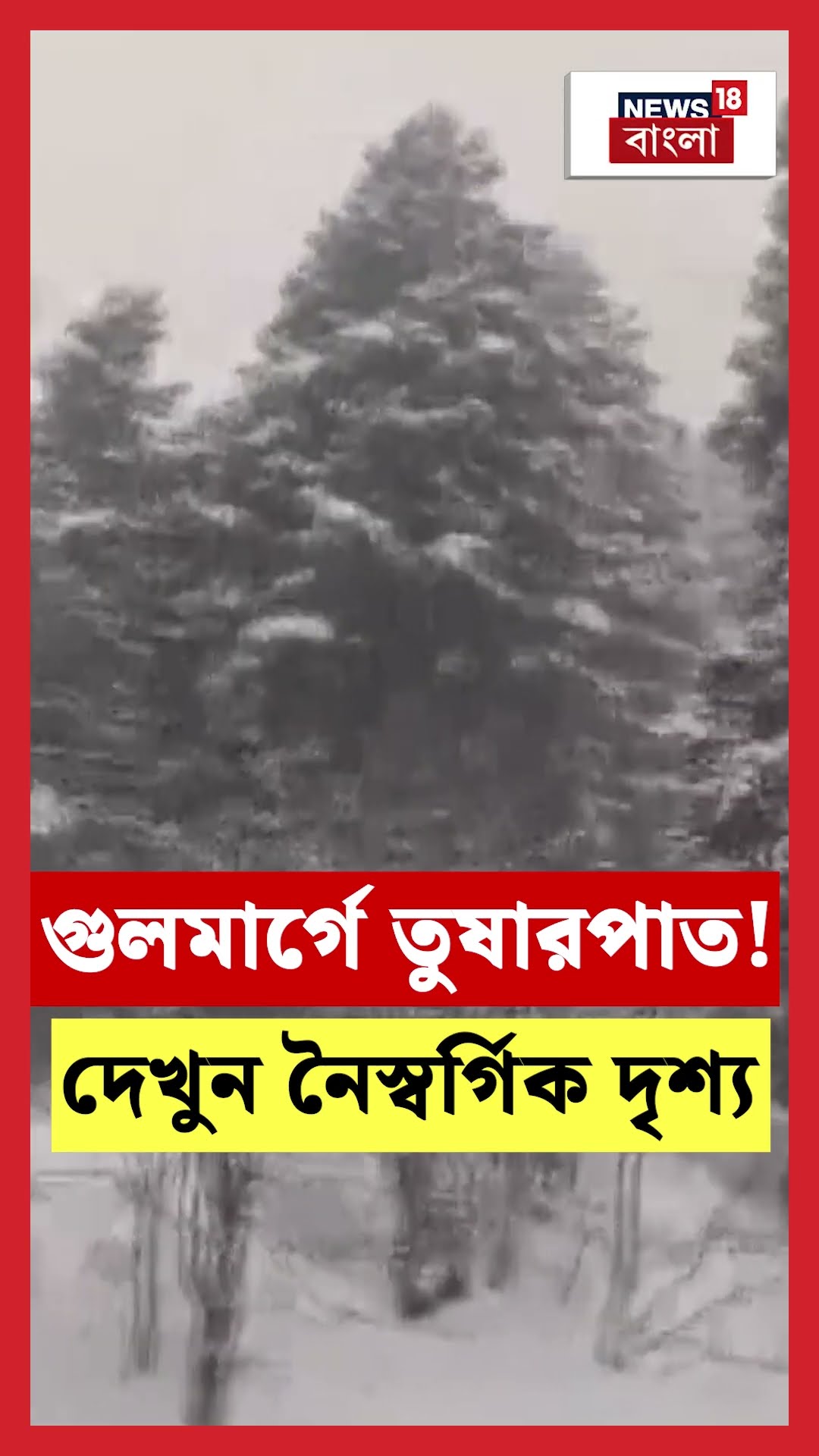 Gulmarg এ Snowfall! দেখুন নৈস্বর্গিক দৃশ্য। N18S #shorts