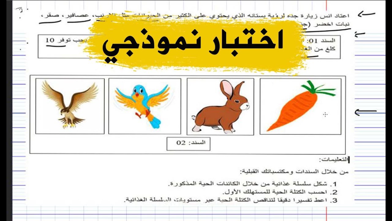 اختبار نموذجي على السلسلة الغذائية علوم طبيعية للسنة الثانية متوسط