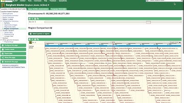 10 - Genomic Region Comparison view in Gramene