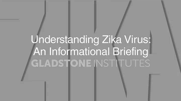 Understanding Zika Virus: An Informational Briefin...