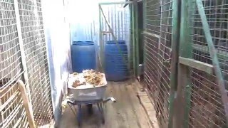 Как выглядит Московский приют «ЭКО Вешняки» после спасения выживших животных Как выглядит Московский приют «ЭКО Вешняки» после спасения выживших животных