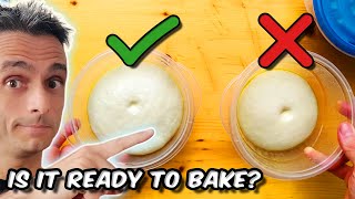 How to know if pizza dough is ready to bake 🤔