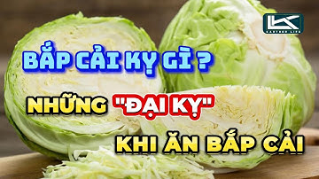 Bắp Cải Kỵ Gì ? Những Đại Kỵ Và Lợi Ích Khi Ăn Bắp Cải Mà Bạn Cần Biết