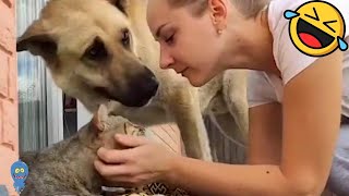 1TRY NOT TO LAUGH WATCHING FUNNY DOG FAILS VIDEOS 2022- Daily Dose of Laughter!