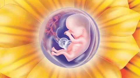 Prenatal Meditation - Part 2: The Physical Blueprint (Stages of Pregnancy Visualizations)