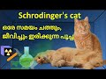 Schrodingers cat  is it dead and alive  quantum mechanics malayalam    