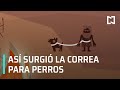 Origen de la correa para los perros - Las Noticias con Carlos Hurtado