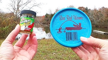 Gulp Minnows vs Live Worms - Which Bait Will Catch More Fish?