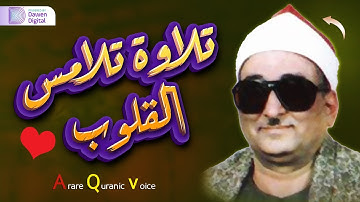 إبداع رهيب يفوق الخيال!!😲 تلاوة تحبس الأنفاس ❄️ الشيخ محمد عبدالعزيز حصَّان, رائعة سورة محمد