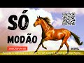 SÓ MODÃO SERTANEJO , A VERDADEIRA MÚSICA DO CAMPO, CANCELA ABERTA, TOP LOUVORES DO SERTÃO, YOUTUBE.