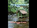 ASMR Nature Sounds #nature #calmnature #waterfall