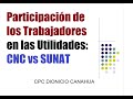 Participación en las Utilidades de los Trabajadores: CNC vs SUNAT