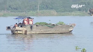 (VTC14)_Phải tính đến việc nhập cát về đồng bằng sông Cửu Long