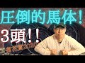 菊花賞で戦えるボディーの馬を3頭選んでみました。