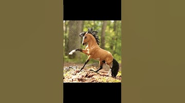 LET’S GO FOR A PHOTO SHOOT WITH ME 📸 PT.7  #modelhorse #schleich #breyer