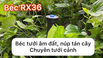 Béc RX36 - Béc tưới âm đất có thể gắn ẩn dưới tán cây giữ cảnh quan đẹp cho khu vườn nhà bạn