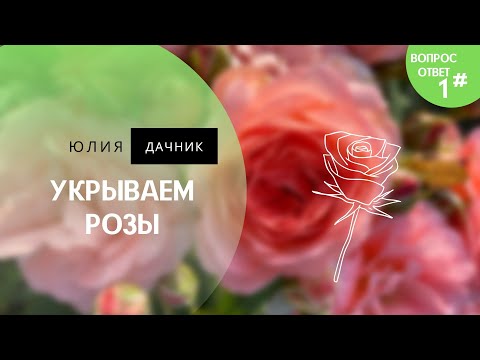 УКРЫВАЕМ РОЗЫ |