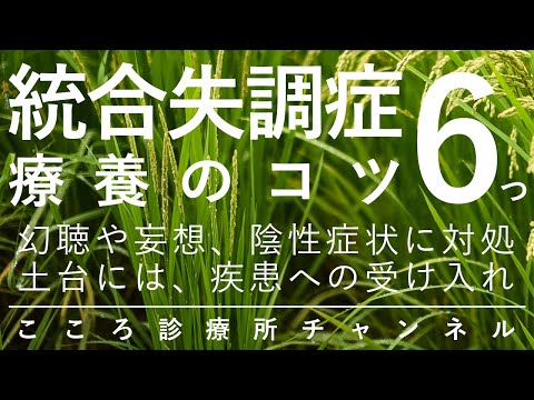 統合失調症療養のコツ6つ【幻聴・妄想・陰性症状などへの対処。精神科医が9分で説明】