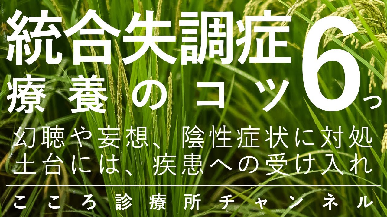 統合失調症療養のコツ6つ【幻聴・妄想・陰性症状などへの対処。精神科医が9分で説明】