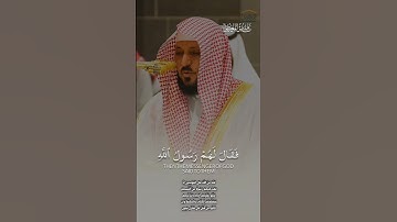 تلاوة فضيلة الشيخ د.#ماهر_المعيقلي من صلاة  المغرب 16 ربيع الآخر 1446هـ.