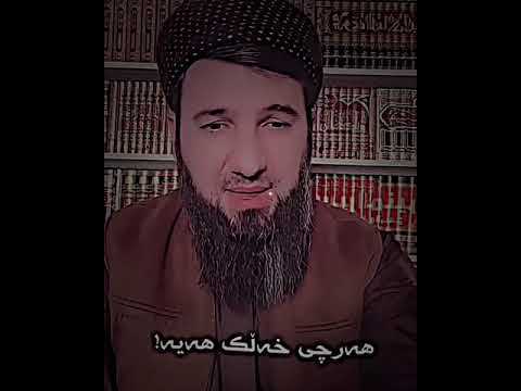 کات کە ڕۆیشت ناگەرێتەوە