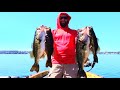 SIGHT FISHING LARGEMOUTH BASS