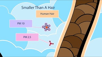 Air quality in NSW - Particle pollution PM10 and PM2.5