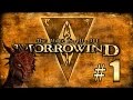 Прохождение The Elder Scrolls 3: Morrowind (TES III) - Начало приключений #1