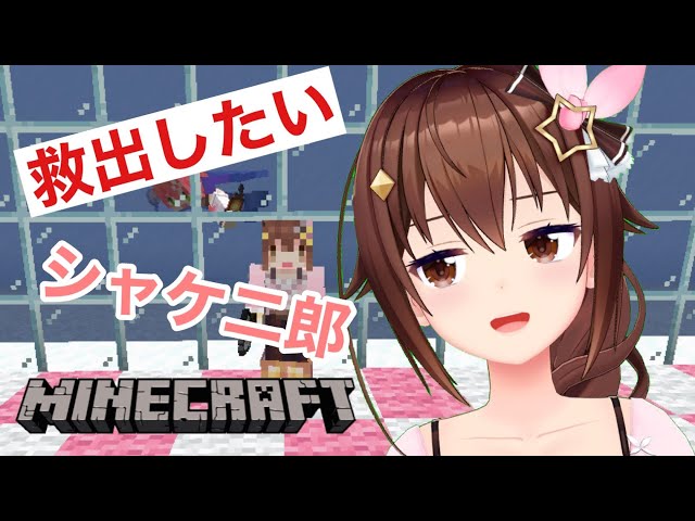 【Minecraft】マグマに負けない家づくり～シャケ次郎とわたし～【#ときのそら生放送】のサムネイル