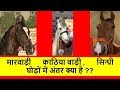 मारवाड़ी घोड़े काठियावाड़ी घोड़े सिन्धी घोड़े में फर्क पहचान Difference Marwari Kathiyawadi Sindhi Horse