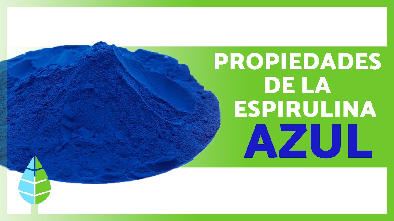 BENEFICIOS de la ESPIRULINA AZUL 💙 (Propiedades Medicinales, Para Qué