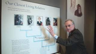Richard Dawkins: Why are there still Chimpanzees? - Nebraska Vignettes #2