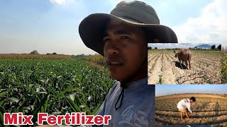vlog#327 PAG APPLY NG PATABA + SUGGESTION KO NG MGA PATABA