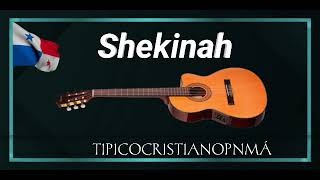 Miniatura del video "Grupo Shekinah-Tipico Cristiano"