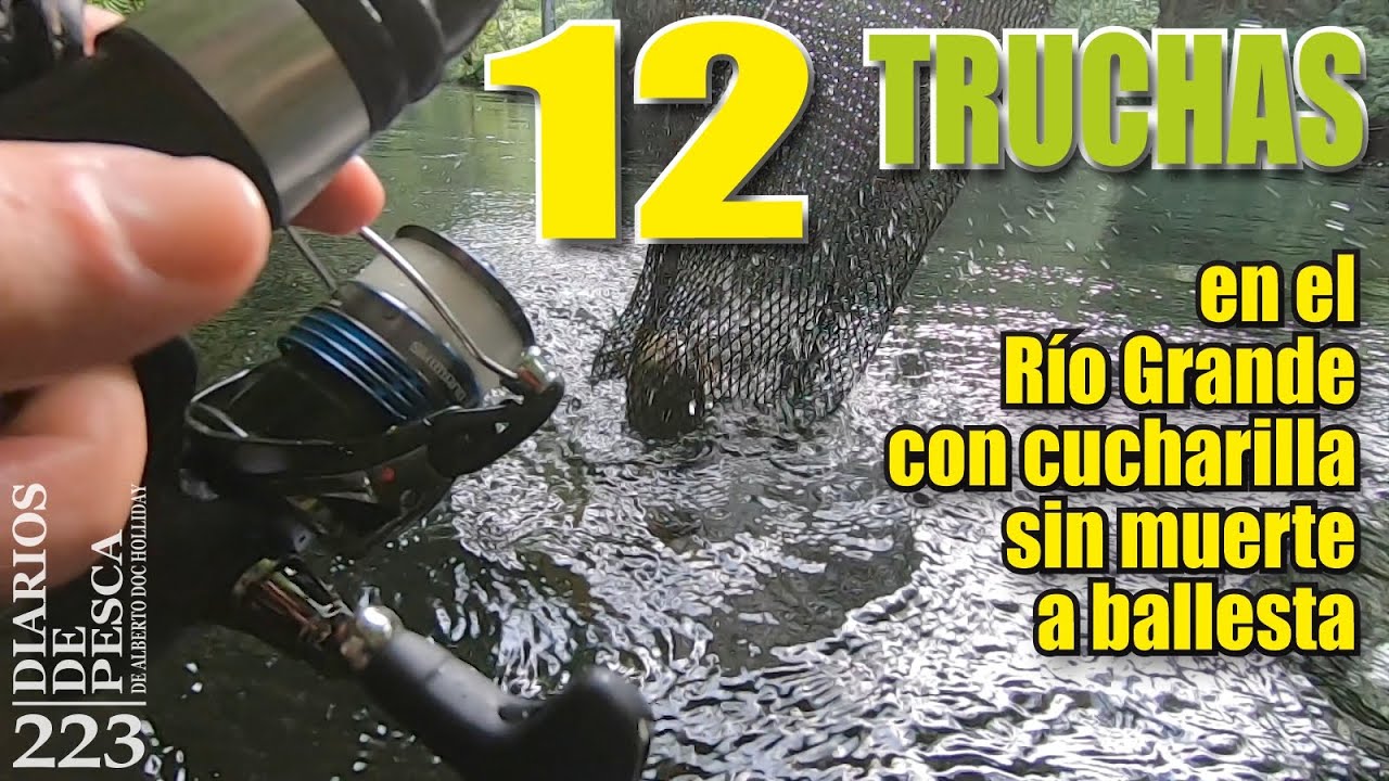 12 TRUCHAS EN EL RÍO GRANDE CON CUCHARILLA SIN MUERTE A BALLESTA. Pesca con técnica de ballesta 100%