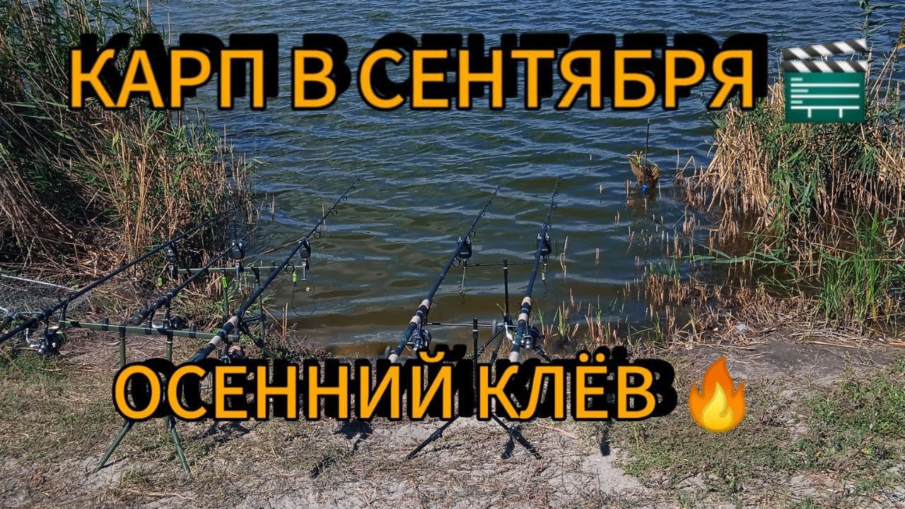 ТА САМАЯ РЫБАЛКА РАДИ КОТОРОЙ ХОЧЕТСЯ ВЕРНУТЬСЯ ЕЩЁ!🎣