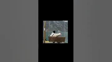 اخويااا ده ده احمد سعد اصحاب بدون موسيقي تصميم تصميم فيديوهات كركوبه دايما معاكم 