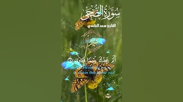 تلاوة خاشعة عطرة مباركة جميلة عذبة للشيخ سعد الغامدي سورة الضحى